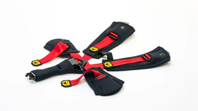 Larry Vs Harry 5 point Seat Belt for Twinseat 