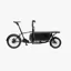 Muli Box Cargo Bike in Black