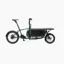 Muli Box Cargo Bike in Pinetree