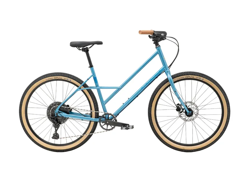 Marin Larkspur 1 in Blue