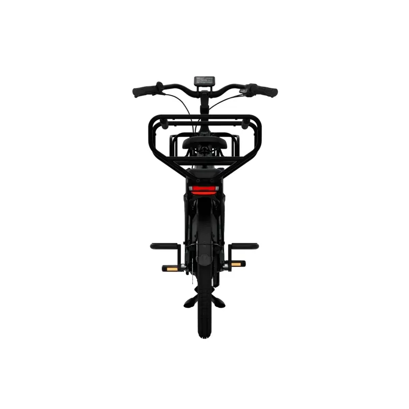 Tenways Longtail DUO Electric Cargo Bike-4