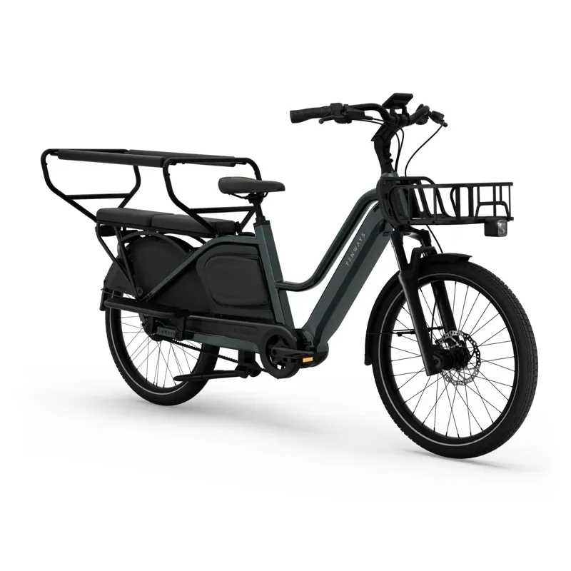 Tenways Longtail DUO Electric Cargo Bike-1