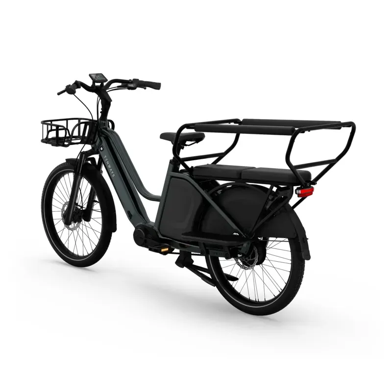 Tenways Longtail DUO Electric Cargo Bike-2