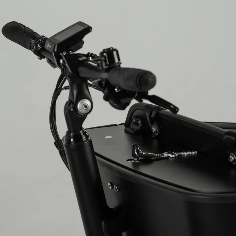 Cargobike Of Sweden Long Lite Two Wheel Cargo Bike-6