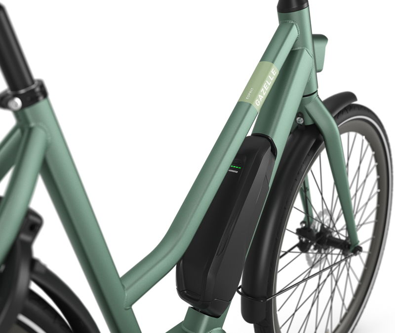 Gazelle Esprit C7 HMS Lowstep 504Wh in Moss Green-2