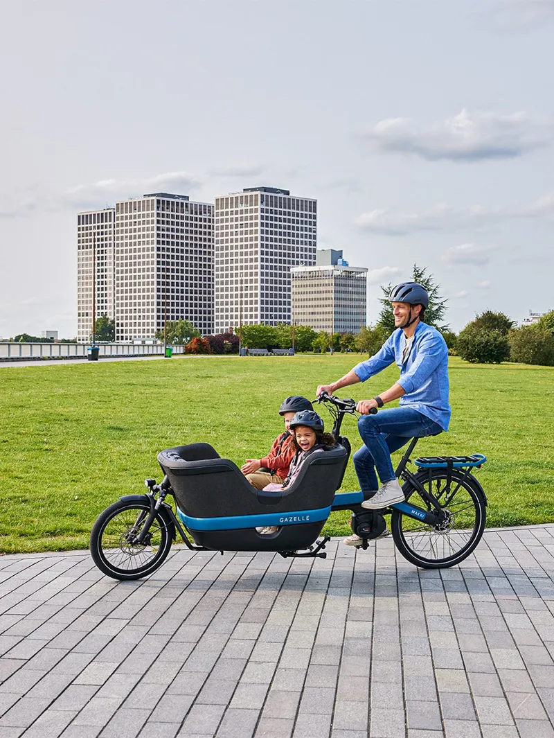 Gazelle Makki Travel 545Wh in Black-2