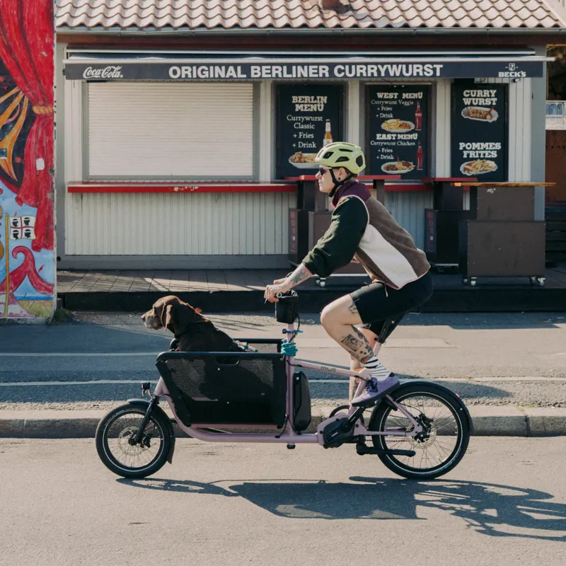 Muli Motor ST in Black-7