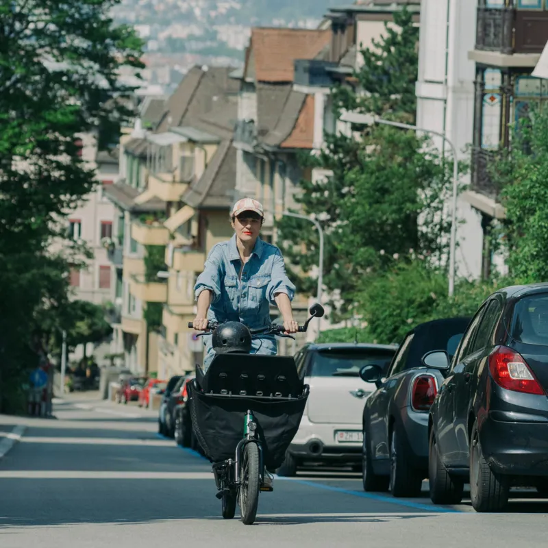 Muli Motor ST Pro eCargo in Pinetree-3