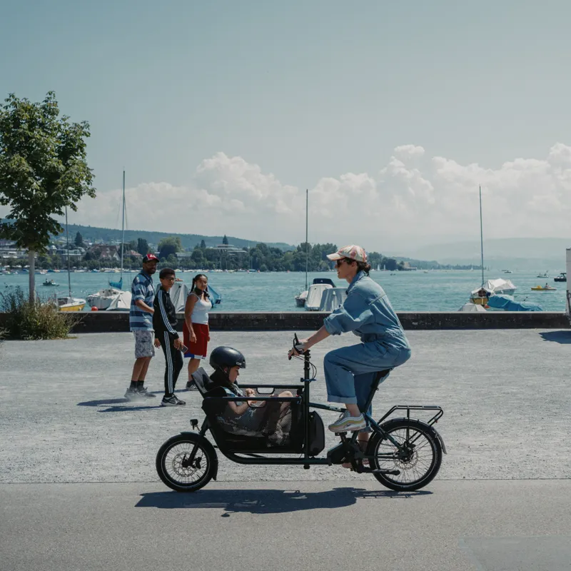 Muli Motor ST Pro eCargo in Pinetree-1