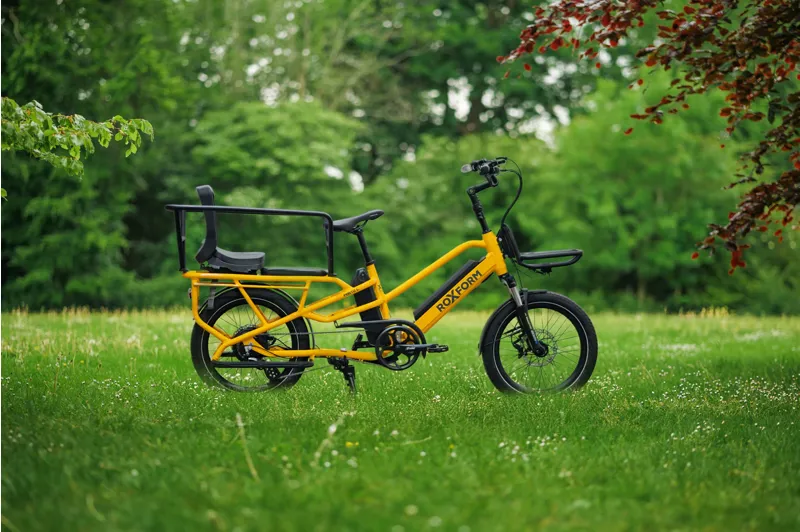 Roxform Porto L dual battery Longtail-1