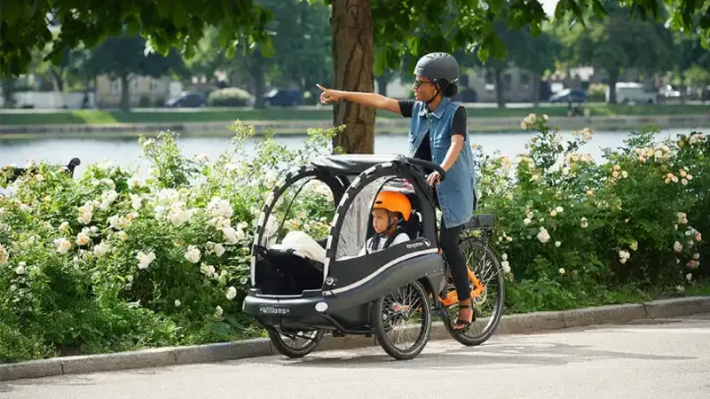 Winther Kangaroo Luxe Bafang Mid Motor e-cargo Trike in Black -3